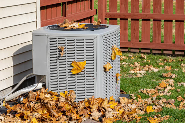 Best HVAC Air Duct Cleaning  in Shelbyville, IN